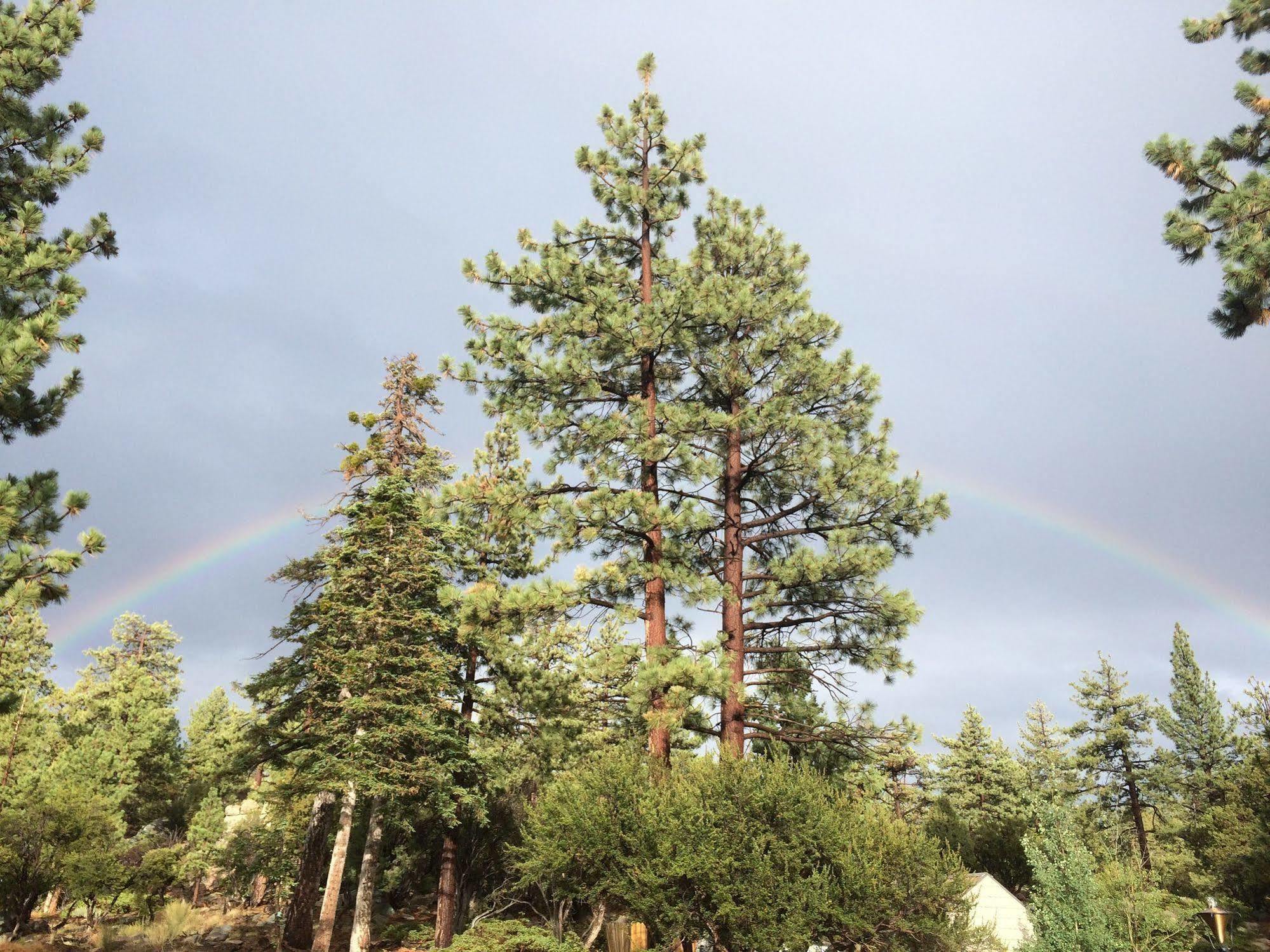 Cienaga Creek Ranch Villa Big Bear Lake Eksteriør billede